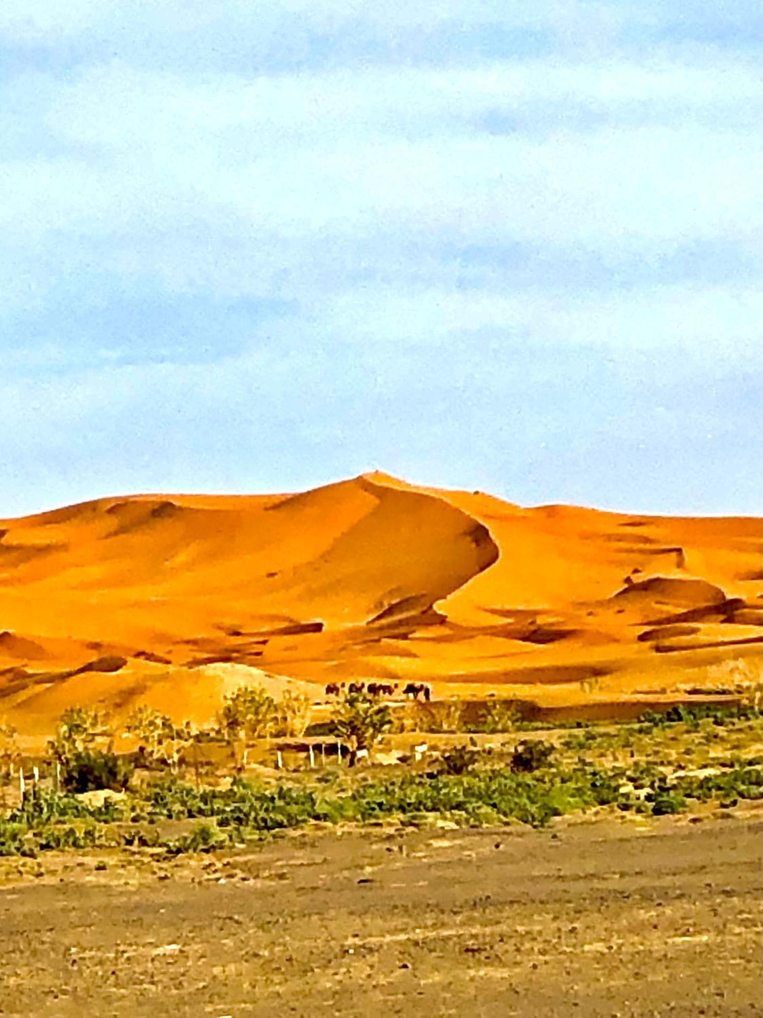 Bivouac La Fibule Des Dunes Merzouga Exteriör bild
